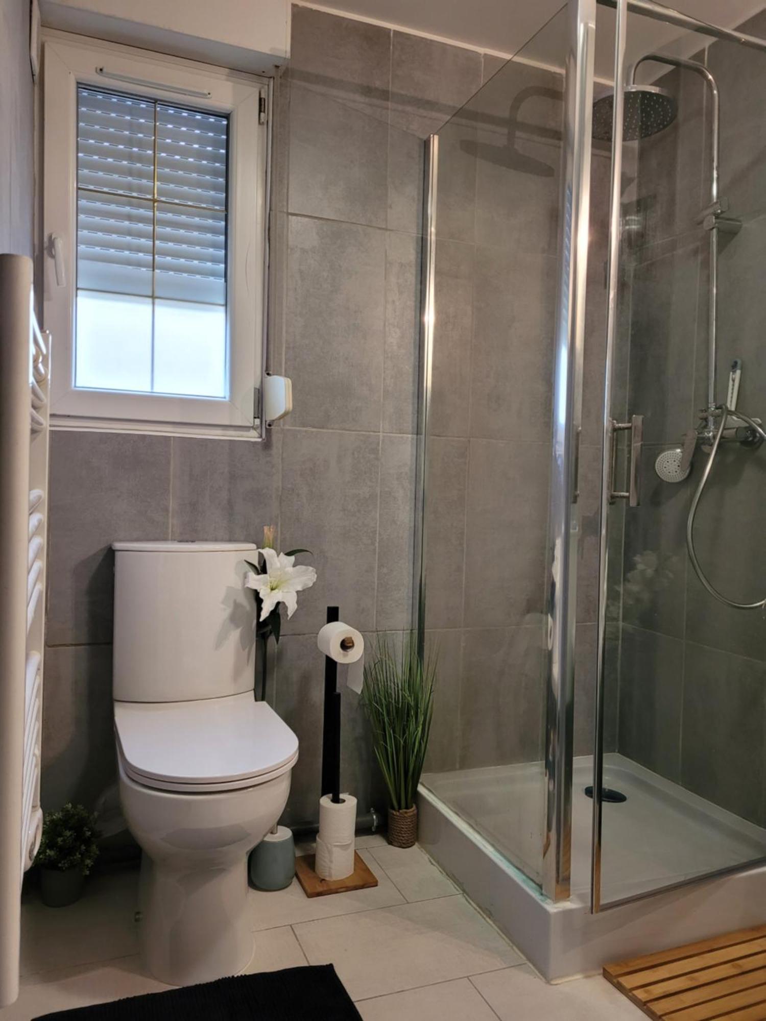 Cocooning House 204 Suite Green- Superb Studio Aeroport Paris Roissy Cdg, Parc Asterix, Chateau De Chantilly, Stade De France Survilliers Екстер'єр фото