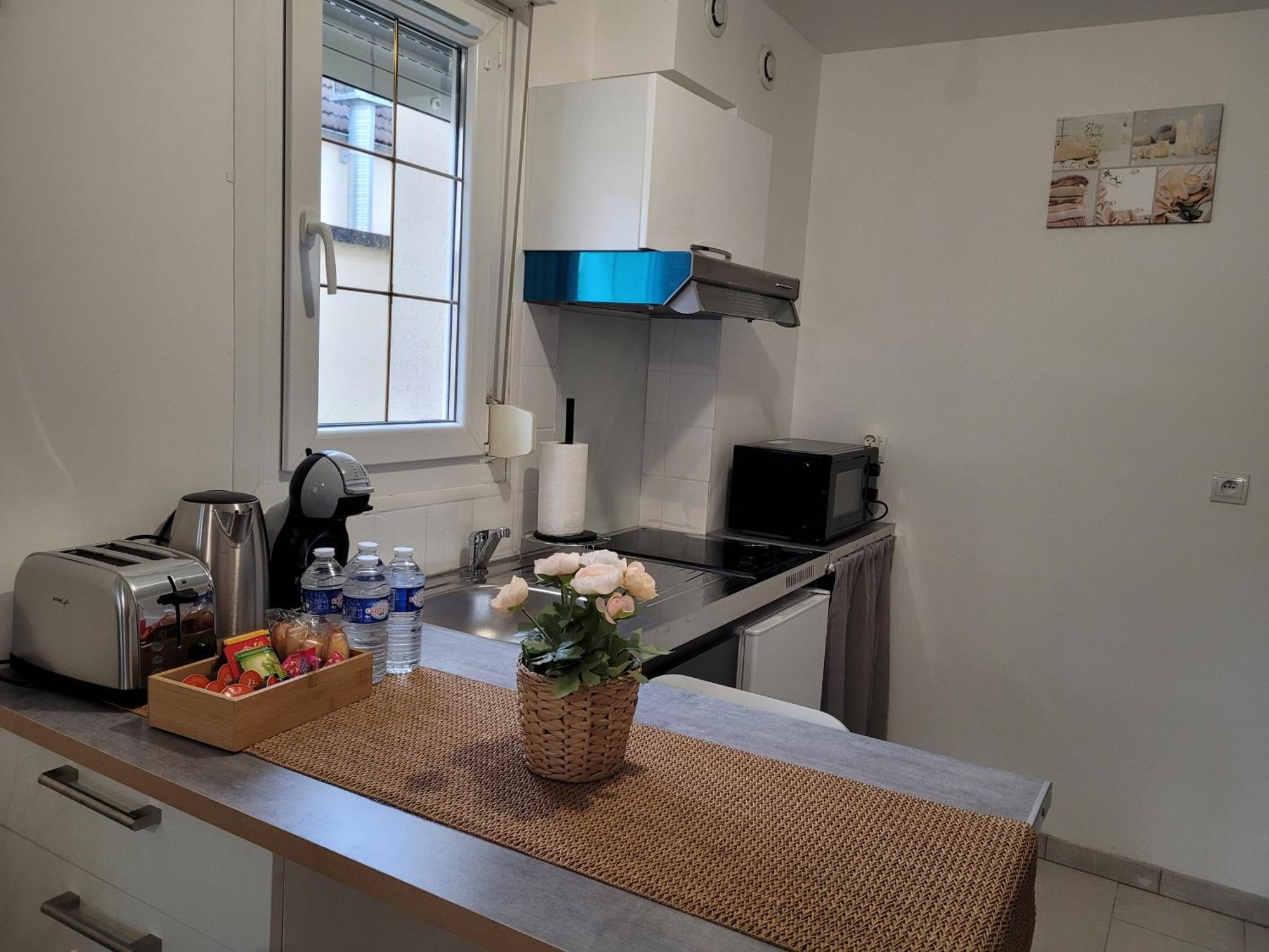 Cocooning House 204 Suite Green- Superb Studio Aeroport Paris Roissy Cdg, Parc Asterix, Chateau De Chantilly, Stade De France Survilliers Екстер'єр фото