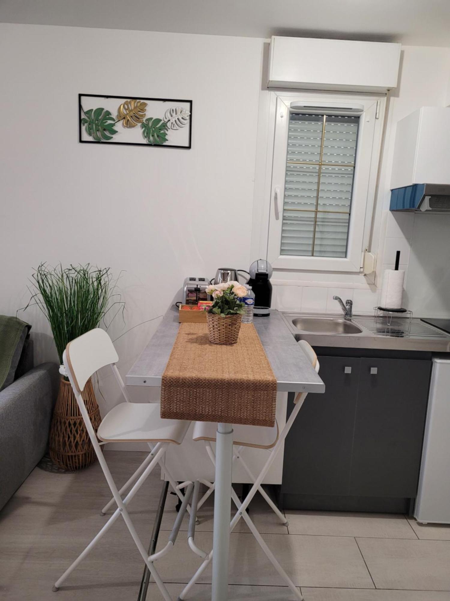Cocooning House 204 Suite Green- Superb Studio Aeroport Paris Roissy Cdg, Parc Asterix, Chateau De Chantilly, Stade De France Survilliers Екстер'єр фото